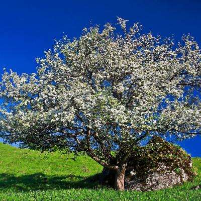 ag真人国际官网手机app下载